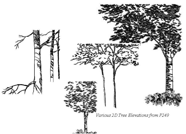 p49 2D Entourage Trees