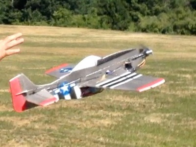 picture of 
								EPP P-51D